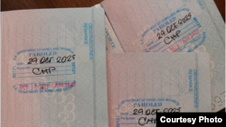 Tres pasaportes cubanos con estampas de Inmigración de parole humanitario, pueden verse en Tampa EEUU, el 21 de diciembre de 2023.