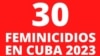 30 feminicidios registrados en Cuba en 2023. Imagen obtenida del Facebook de Alas Tensas. 