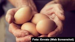 Producción de huevos en Cuba en su peor momento