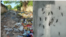 Collage basurero en Cárdenas, Matanzas, y mosquito Aedes Aegypti.