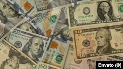 Dólares estadounidenses, la moneda dura en Cuba. 